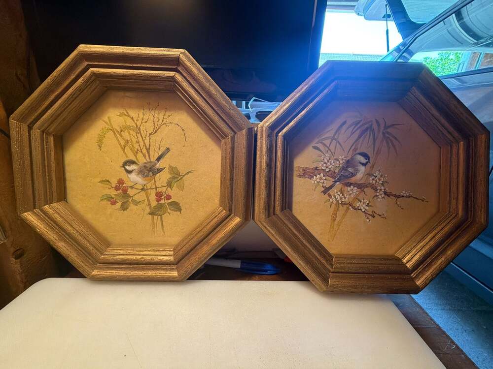 Vintage Octagonal Framed Chickadee Bird Prints Set of 2 value~50$